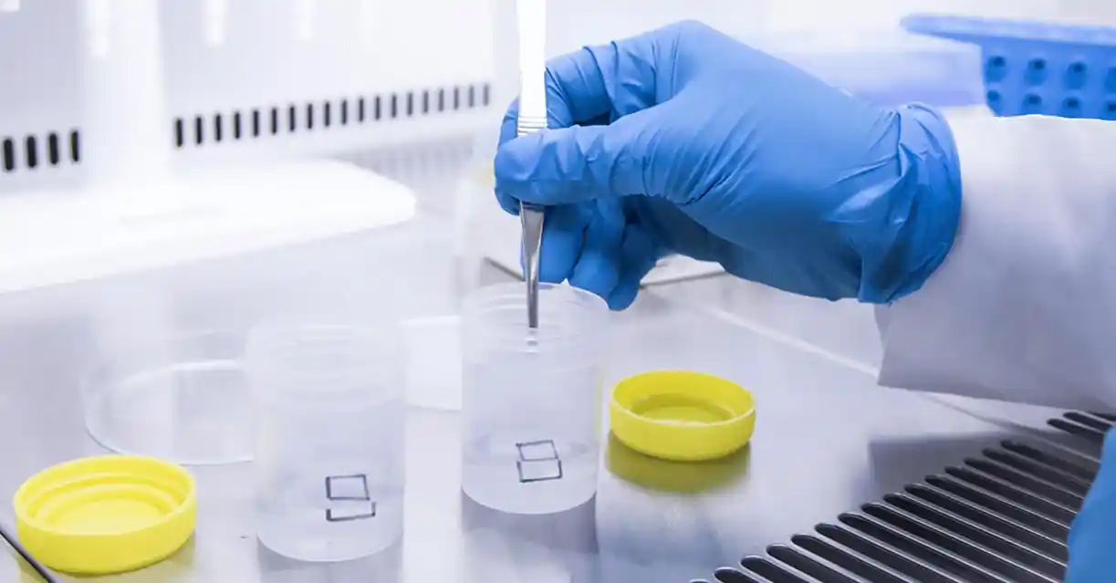 Disinfectant Testing