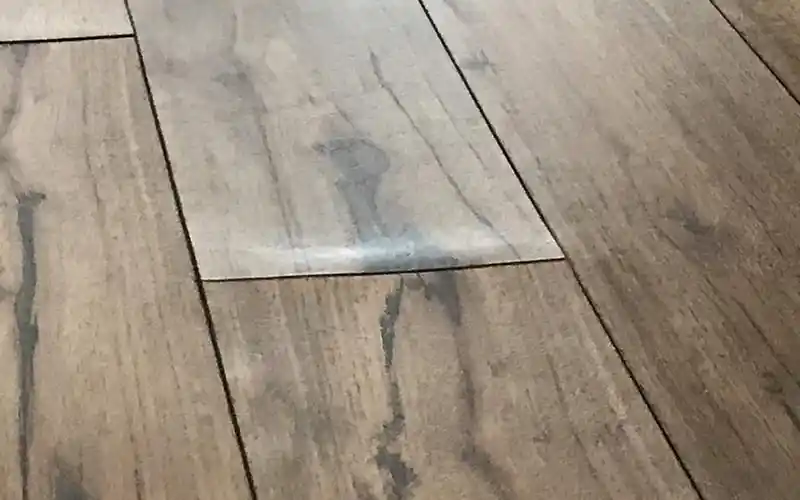 Certified Resilient Flooring Certification